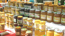 Productia de miere a scazut cu 50% in 2012 - Agrimedia.ro