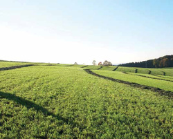 Pastrarea apei in sol prin lucrari si alte metode agrotehnice - Agrimedia.ro