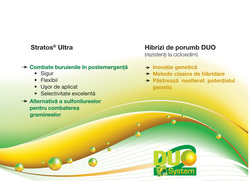 DUO SYSTEM®- o solutie moderna de combatere a buruienilor graminee din cultura de porumb - Agrimedia.ro