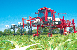 Tehnologii de fertilizare aplicate la cultura de porumb - Agrimedia.ro